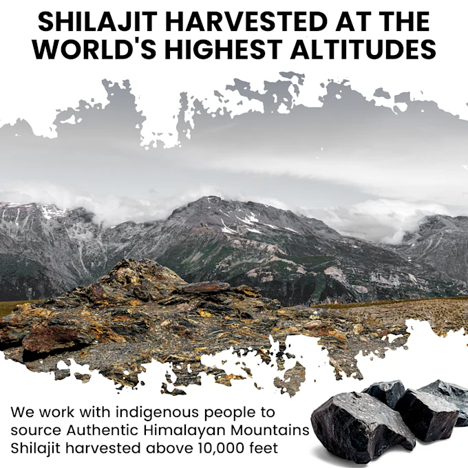 Pure Himalayan Shilajit Resin, Organic, Extremely Potent, Natural, Fulvic Acid